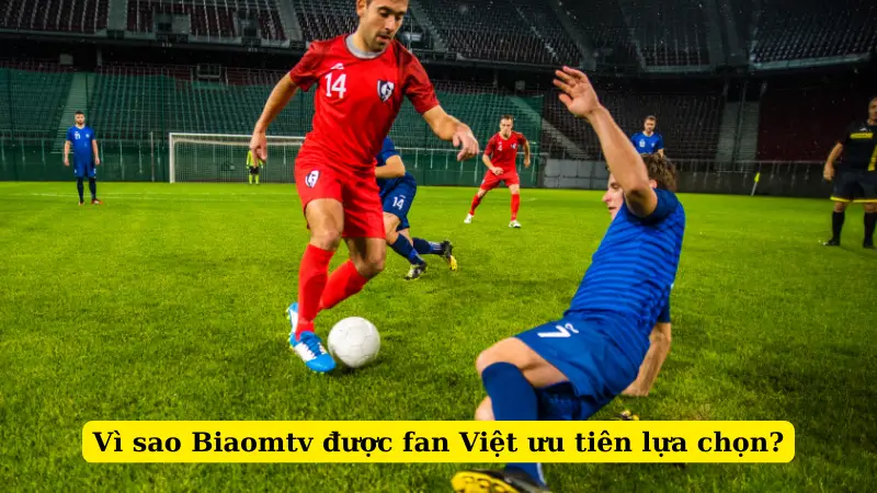 Vì sao Biaomtv được fan Việt ưu tiên lựa chọn?